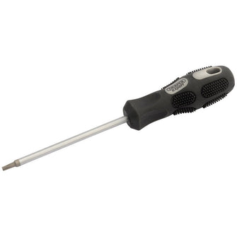 Draper Tools Expert Draper TX-STAR® Driver T10 x 75mm Long