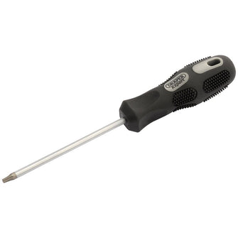 Draper Tools Expert Draper TX-STAR® Driver T15 x 100mm Long