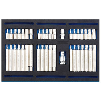 Draper Tools Screwdriver Insert Bit Set in 1/4 Drawer EVA Insert Tray (40 Piece)